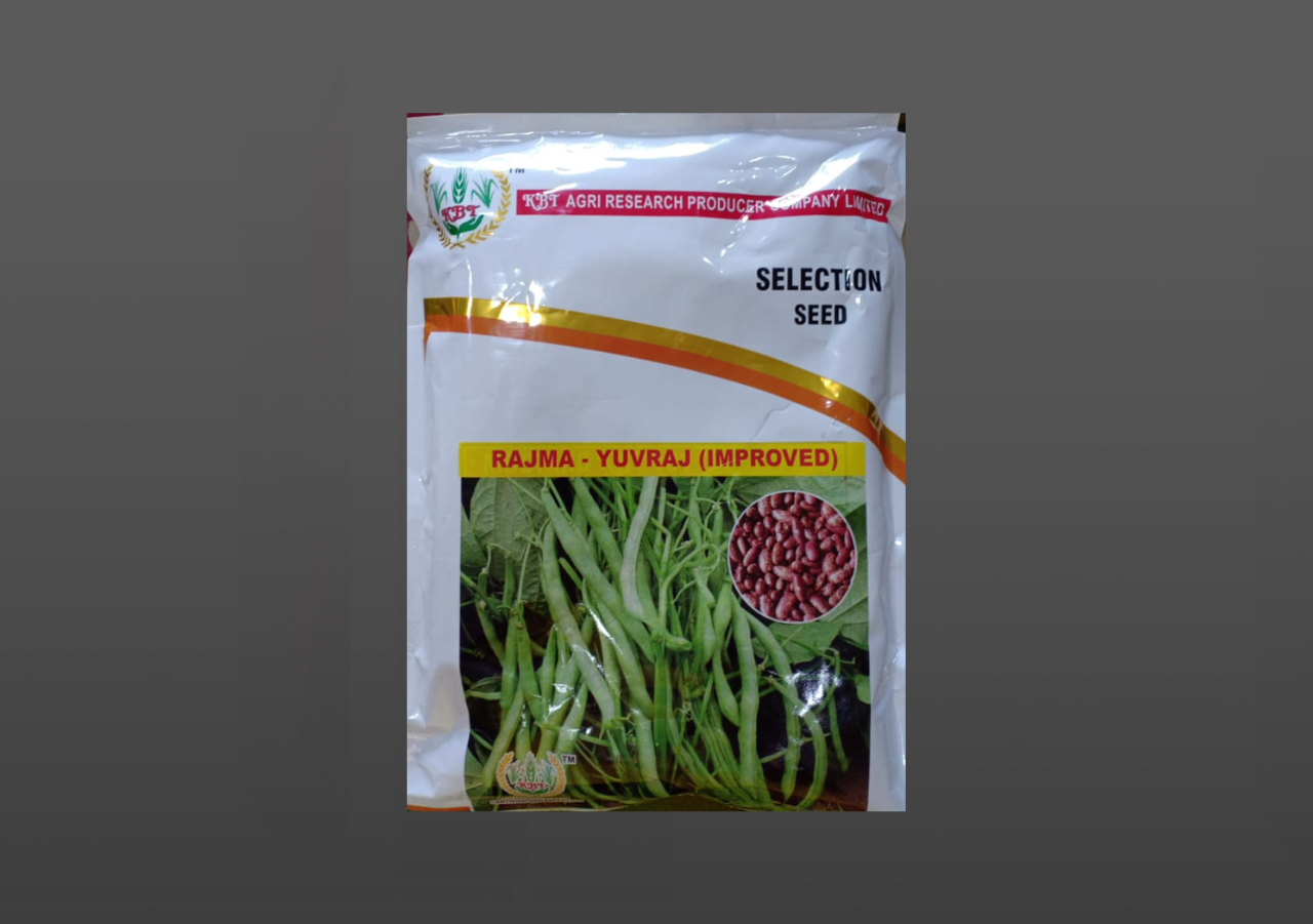 RAJMA - YUVRAJ (IMPROVED) 1Kg